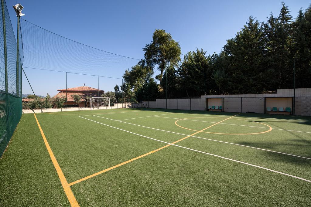 Agriturismo La Molara Sessa Aurunca Eksteriør billede
