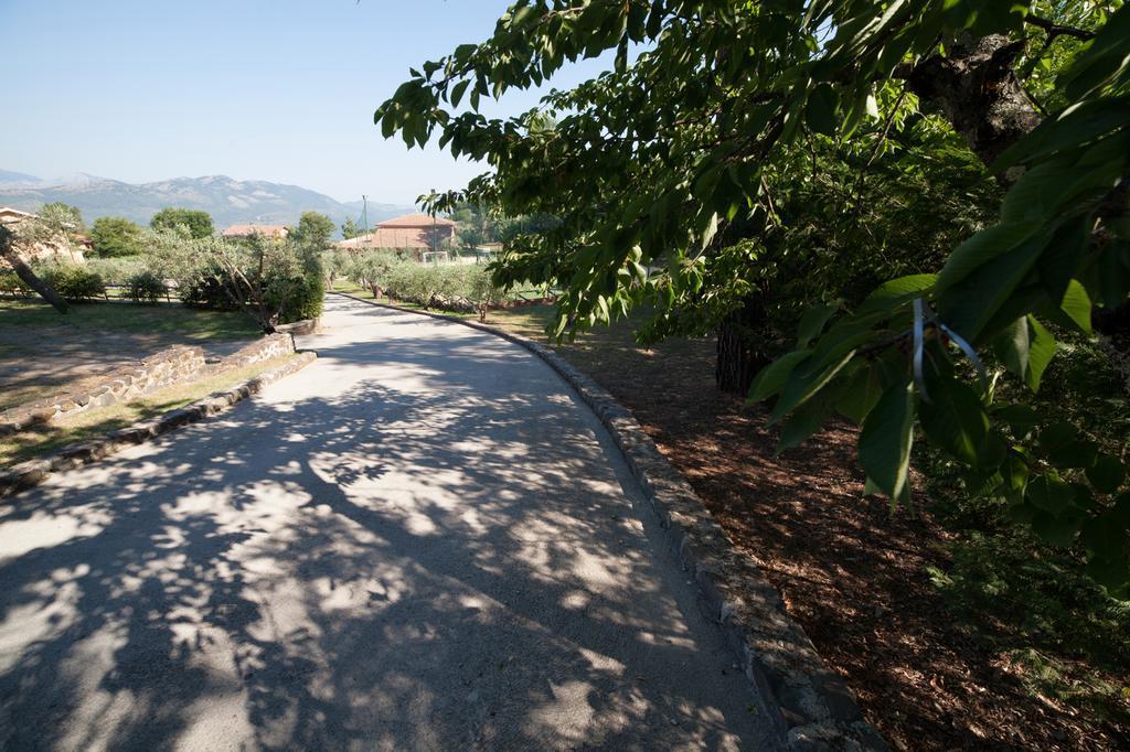 Agriturismo La Molara Sessa Aurunca Eksteriør billede